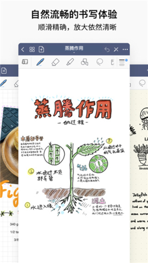 我们为什么「选择」读研甚至读博？